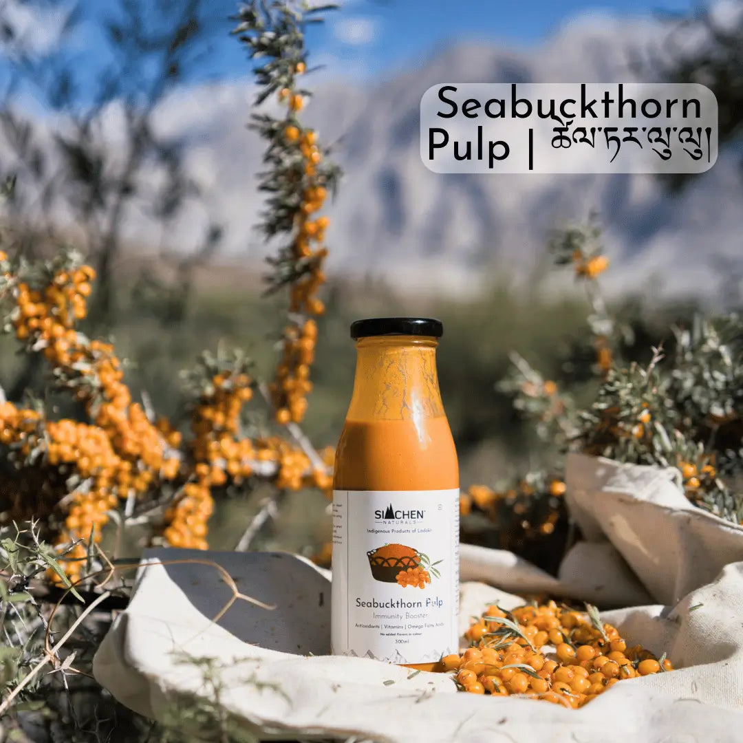 Bottle of Seabuckthorn Pulp with seabuckthorn berries in a natural setting